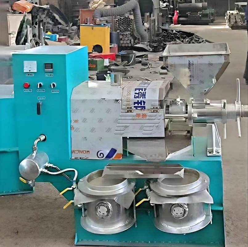 Petite Presse à Huile Commerci - Home Cooking Oil Making Machine avis et prix